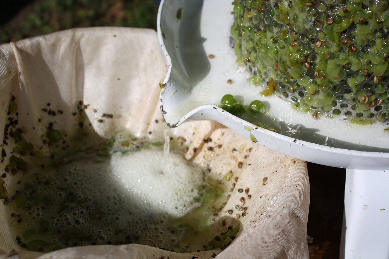 How to Make Your Own Homemade Salsa